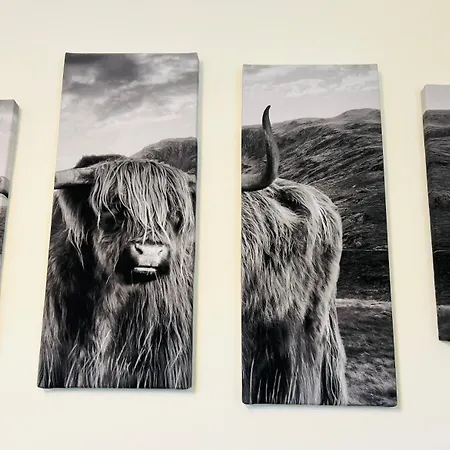 Stiles Of Ambleside